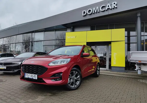 ford kuga Ford Kuga cena 165900 przebieg: 10, rok produkcji 2022 z Poznań